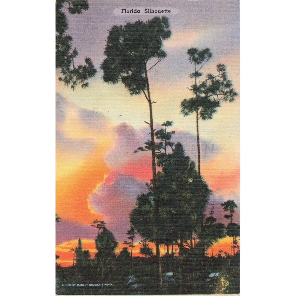 Vintage Florida Silhouette Linen Postcard 1948 Fort Lauderdale Manley Brower 139